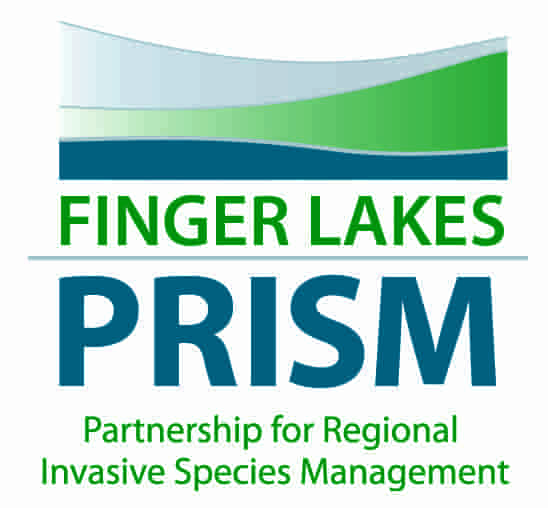 FINGER-LAKES-PRISM-logo-centered-3-min
