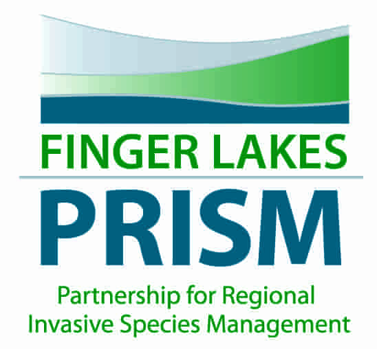 FINGER-LAKES-PRISM-logo-centered-3-min FINGER-LAKES-PRISM-logo-centered-3-min