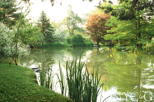 Pond_10-23-09 Pond_10-23-09