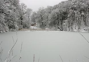 Winter_Pond Winter_Pond