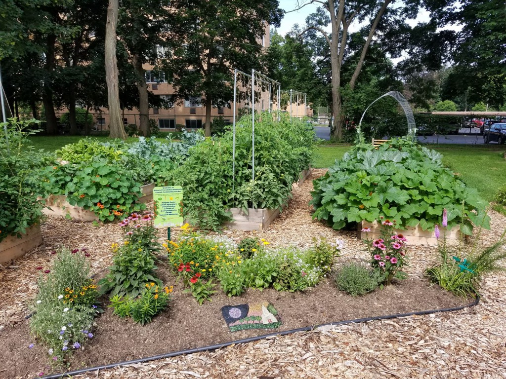 garden garden